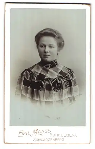 Fotografie Emil Maass, Schneeberg-N, Portrait junge Dame im karierten Kleid