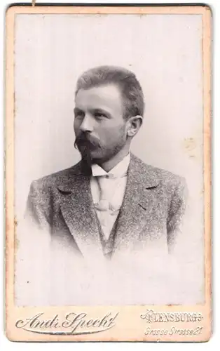 Fotografie Andr. Specht, Flensburg, Grosse Strasse 21, Portrait modisch gekleideter Herr mit Bart