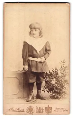 Fotografie Albert Meyer, Berlin-C, Alexander-Strasse 45, Portrait kleiner Junge in hübscher Kleidung