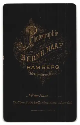 Fotografie Bernh. Haaf, Bamberg, Kettenbrücke, Brustportrait junger Herr in modischer Kleidung