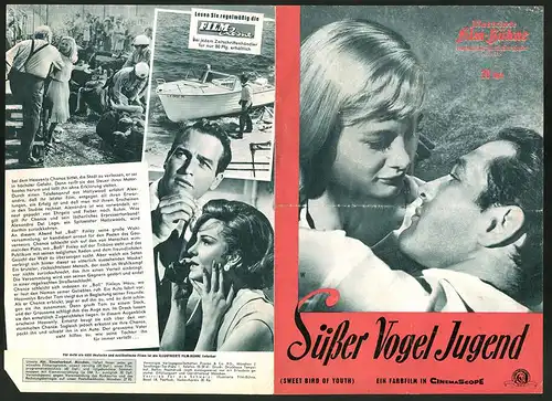 Filmprogramm IFB Nr. 6219, Süsser Vogel Jugend, Paul Newman, Geraldine Page, Regie: Richard Brooks