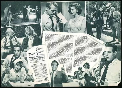 Filmprogramm IFB Nr. 6219, Süsser Vogel Jugend, Paul Newman, Geraldine Page, Regie: Richard Brooks