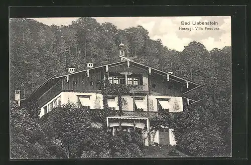 AK Bad Liebenstein, Herzogliche Villa Feodora