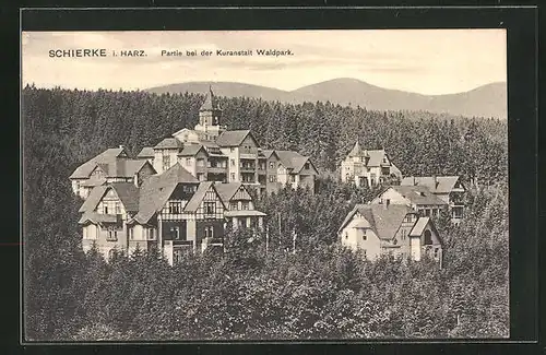 AK Schierke i. Harz, Partie bei der Kuranstalt Waldpark