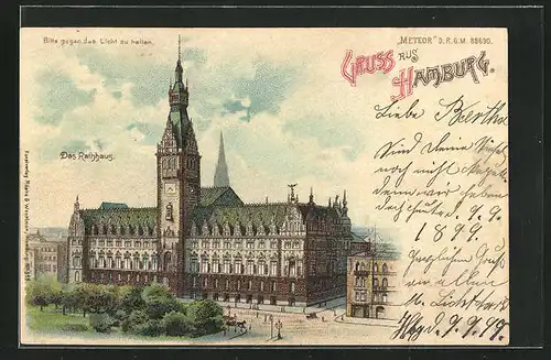 Lithographie Hamburg, Das Rathaus, Halt gegen das Licht