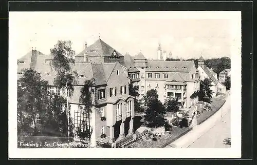 AK Freiberg i. Sa., Chemnitzer Strasse mit Bäumen