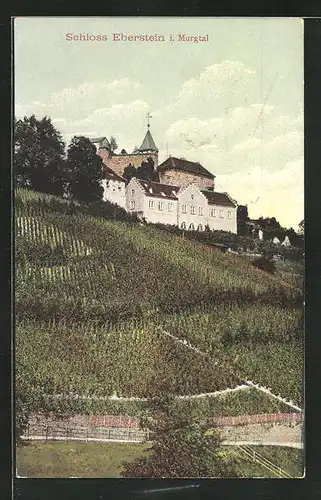 AK Eberstein /Murgtal, Schloss mit Weinreben