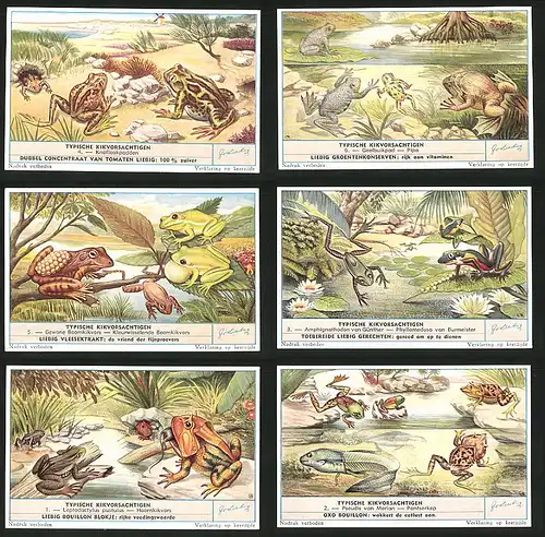 6 Sammelbilder Liebig, Serie Nr. 1661: Typische Kikorsachtigen, Pantserkop, Hoornkikvors, Pipa, Geelbuikpad