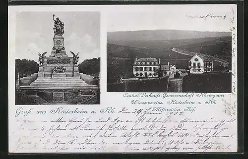 AK Rüdesheim / Rhein, Metternicher Hof, Denkmal