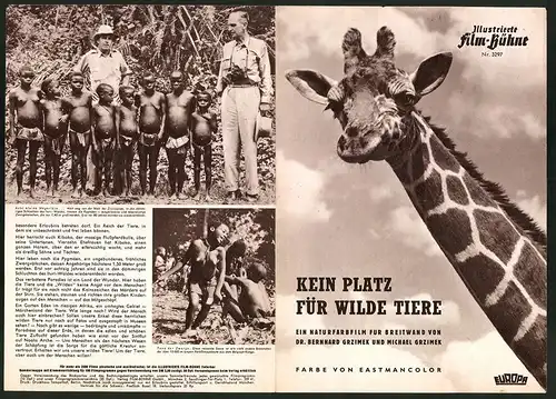 Filmprogramm IFB Nr. 3297, Kein Platz für wilde Tiere, Dr. Bernhard Grzimek, Michael Grzimek, Naturdokumentation