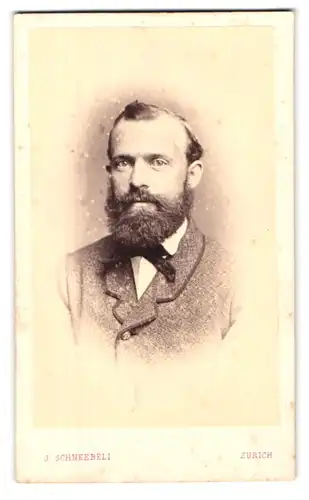 Fotografie J. Schneebeli, Zürich, Storchengasse, Portrait Mann im Tweed Anzug mit Vollbart