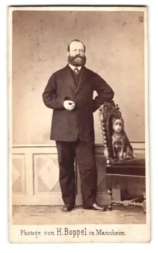 Fotografie H. Boppel, Mannheim, Portrait Mann im Anzug mit Vollbart und Hund auf dem Stuhl