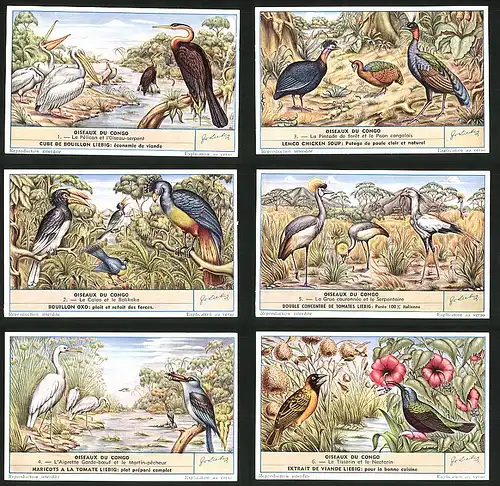 6 Sammelbilder Liebig, Serie Nr. 1632: Oiseaux du Congo, Le Tisserin et le Nactarin, Le Calao et le Bolikoko