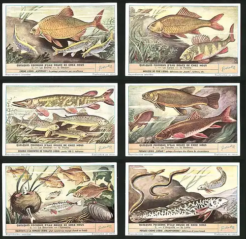 6 Sammelbilder Liebig, Serie Nr. 1573: Quelques Poissons dèau douce de Chez Nous, La Lotte, L`Anguille, L`Epinoche