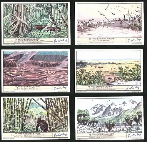 6 Sammelbilder Liebig, Serie Nr. 1418: Le Parc National Albert, Le massif du Ruwenzori, Gorilla, Elefanten, Vulkan