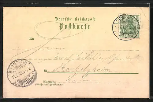 Lithographie Neckarsteinach, Totalansicht, Schwalbennest, Dilsberg
