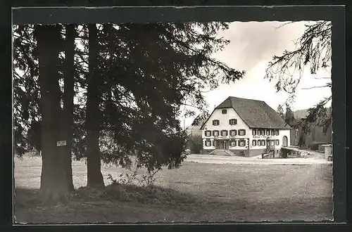 AK Peterzell-Stockburg /Schwarzwald, Hotel zum Rössle