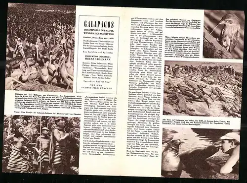 Filmprogramm IFB Nr. 6439, Galapagos - Trauminsel im Pazifik, Regie: Heinz Sielmann, Naturdokumentarfilm