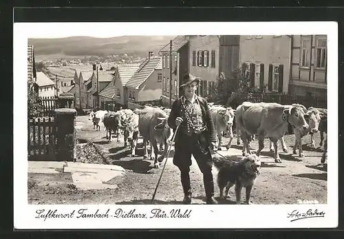 AK Tambach-Dietharz i. Thür. Wald, Bauer mit Kuh & Hund am Hög