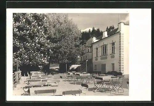 AK Oppach, Gasthaus Waldfrieden