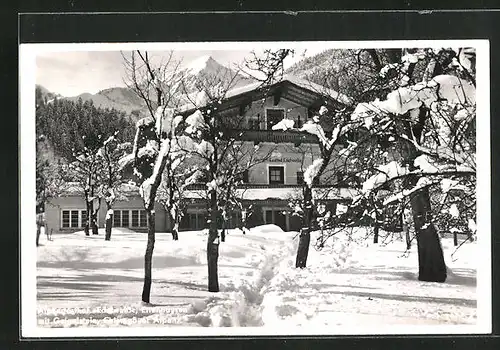 AK Ettenhausen, Alpengasthaus Edelweiss, Blick im Garten auf den Geigelstein