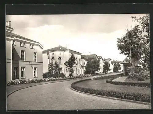AK Heiligendamm, Strassenpartie mit Blick auf das Sanatorium