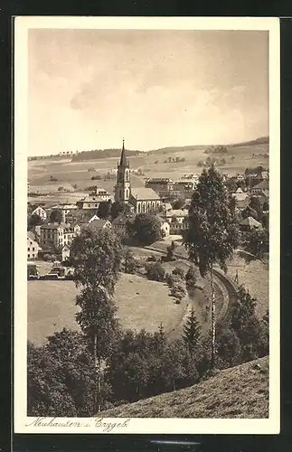 AK Neuhausen i. Erzgeb., Ortsansicht mit Feldern