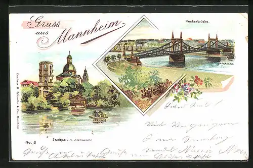 Künstler-AK Mannheim, Neckarbrücke, Stadtpark mit Sternwarte