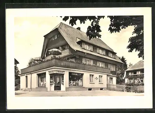 AK Hinterzarten /Schwarzwald, Pension Haus Silberdistel