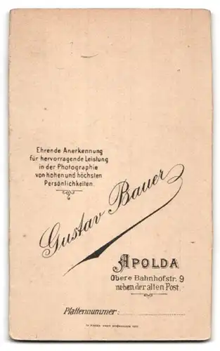 Fotografie Gustav Bauer, Apolda, Obere Bahnhofstrasse 9, Portrait junge Dame mit Hochsteckfrisur