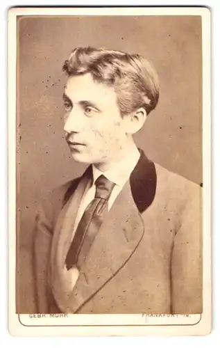 Fotografie Gebr. Mohr, Frankfurt a /M., Brönnerstrasse 24, Portrait junger Herr im Anzug mit Krawatte