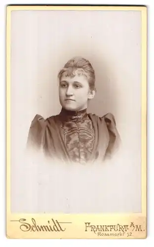 Fotografie Schmidt, Frankfurt a /M., Rossmarkt 12, Portrait junge Dame im Kleid mit Kragenbrosche