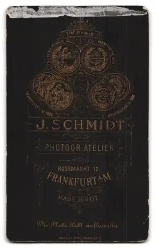 Fotografie J. Schmidt, Frankfurt a /M., Rossmarkt 12, Portrait junge Dame im bestickten Kleid