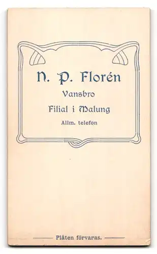 Fotografie N. P. Florén, Vansbro, Portrait junge Dame mit zeitgenössischer Frisur