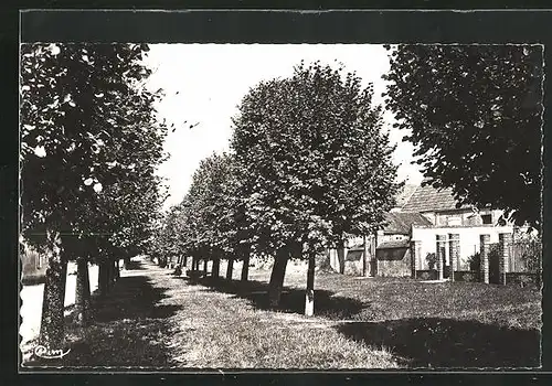 AK Thorigny-sur-Oreuse, Les Promenades