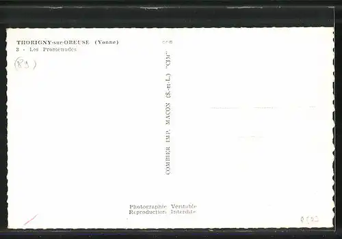 AK Thorigny-sur-Oreuse, Les Promenades