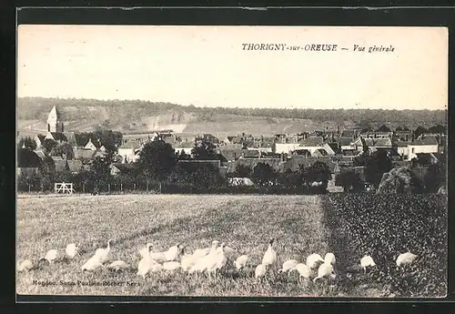 AK Thorigny-sur-Oreuse, Vue génèrale