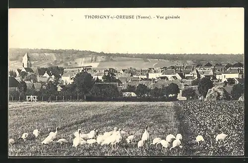 AK Thorigny-sur-Oreuse, Vue gènèrale