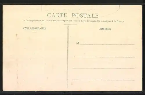 AK Thorigny-sur-Oreuse, Vue gènèrale