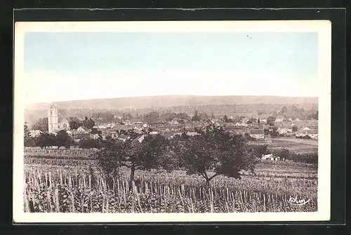 AK Appoigny, Vue gènèrale