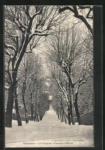 AK Tonnerre, Le Gripeau, Paysage d`Hiver