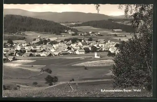 AK Ruhmannsfelden / Bayer. Wald, Gesamtansicht