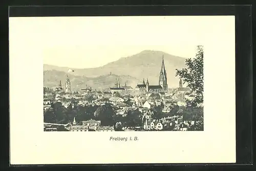 AK Freiburg i. Br., Gesamtansicht