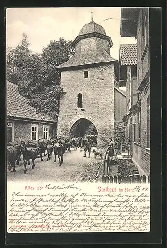 AK Stolberg / Harz, Altes Tor