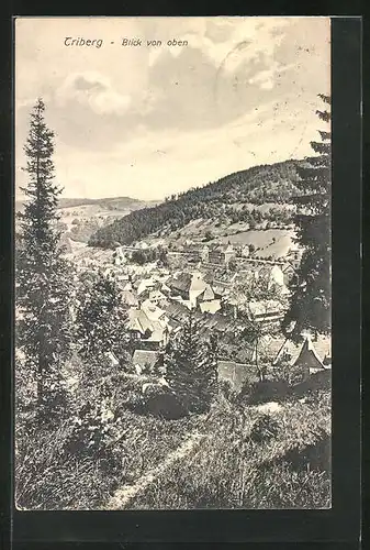 AK Triberg, Ortsansicht aus der Vogelschau