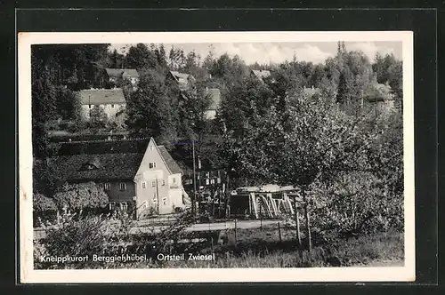 AK Berggiesshübel, Häuser im Ortsteil Zwiesel