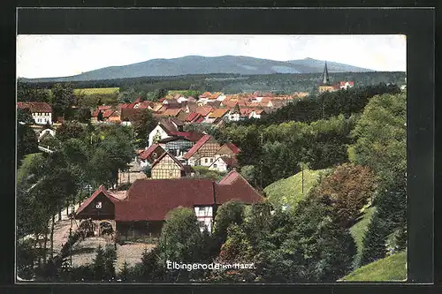 AK Elbingerode im Harz, Blick über den gesamten Ort