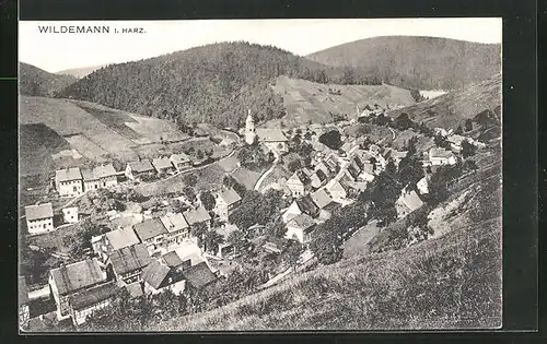 AK Wildemann im Harz, Blick auf den gesamten Ort im Tal