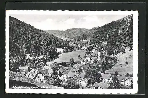 AK Schwarzwald, Blick von der Käfernburg