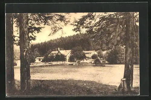 AK Braunlage im Harz, Partie an der Waldmühle